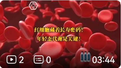 红细胞藏着长寿密码年轻态代谢关键：境悠之水