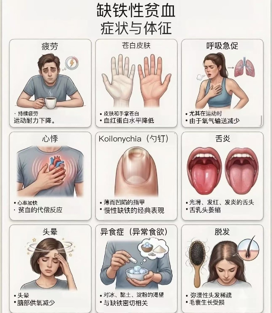 缺铁，不只是“累”那么简单：  身体发出的10个警告信号